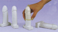 Outil masculin réaliste de formation de préservatif de Simulator 12pcs de modèle de pénis