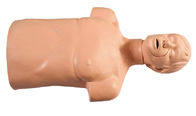 PVC de protection de l'environnement demi - mannequins de premiers secours de corps pour la pratique en matière d'opération de CPR