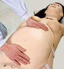 Formation de enseignement simulateur néonatal maternel de naissance d'enfant de PVC