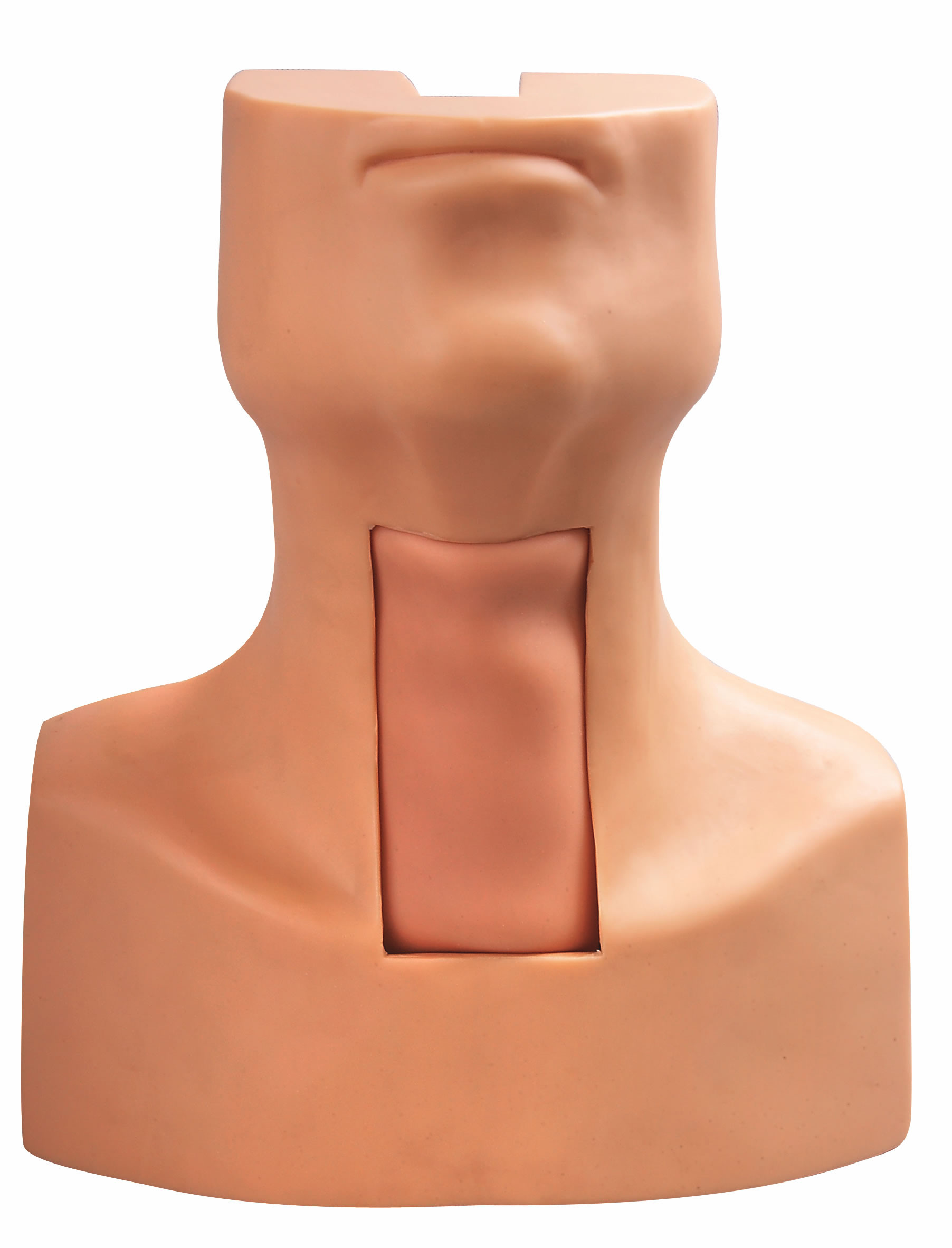 Modèle d'intubation de piqûre de Tracheostomy avec la peau simulée de trachée et de cou pour la formation