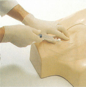 IV simulation clinique de torse jugulaire, subclavian, formation de piqûre de veine fémorale pour le collègue