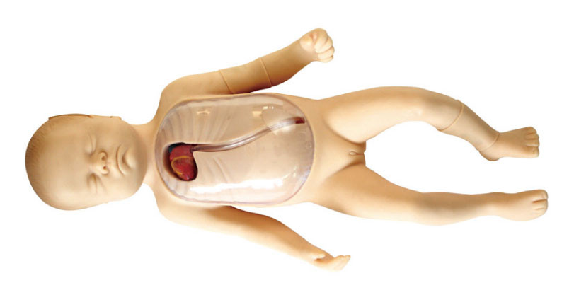 Mannequin de nouveau-né avec la simulation centrale périphériquement insérée d'enfant de cathéter