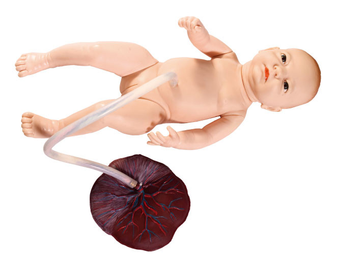 Petit nouveau-né féminin avec la simulation de soins de cordon ombilical formant le modèle foetal