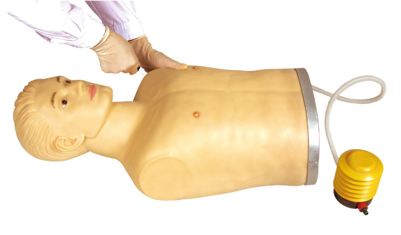 Le mannequin de formation de simulateur de pneumothorax de fournisseur de FNUP avec du CE a approuvé