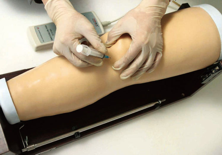 Simulateur intracavitary électronique d'injection d'articulation de genou, modèles médicaux