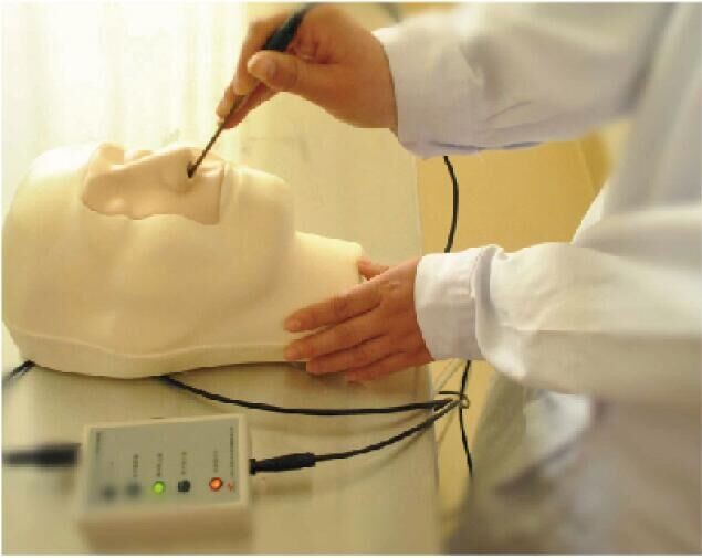 Université, hôpital apprenant le modèle de formation nasal d'hémorragie de simulations