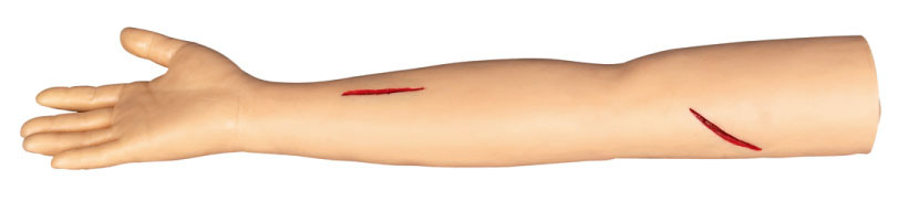 Suturez les modèles de formation chirurgicaux de bras pour couper et suturer dans le colleage, hôpital