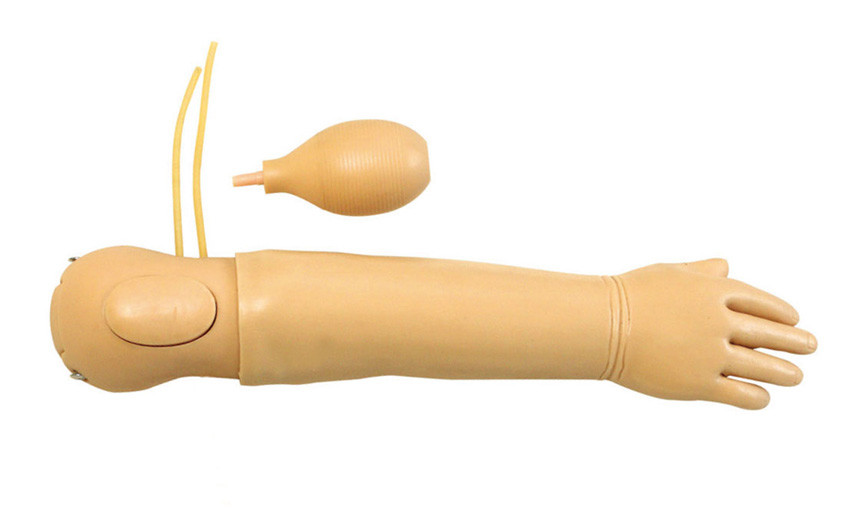 Simulateur de bras d'enfant avec le marqueur Osteal évident d'identification pour la formation artérielle d'injection