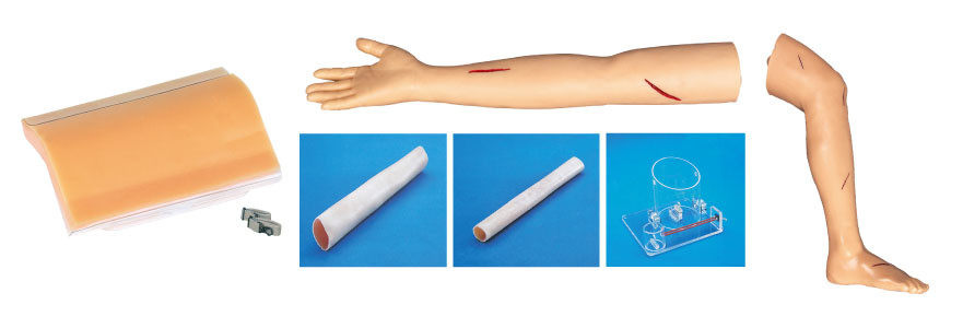 Modèles de formation chirurgicaux adultes de kit de jambe et de bras de suture pour l'éducation d'étudiant