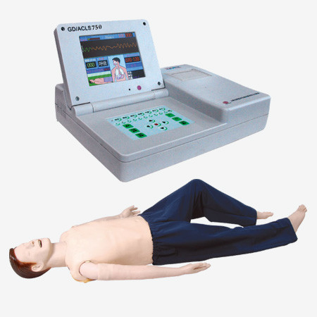 Mannequins adultes de premiers secours d'ECG avec l'écran d'ordinateur d'ACLS pour la formation d'universités