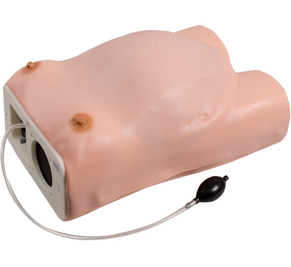 Simulateur gynécologique d'examen de maternité de PVC d'hôpital