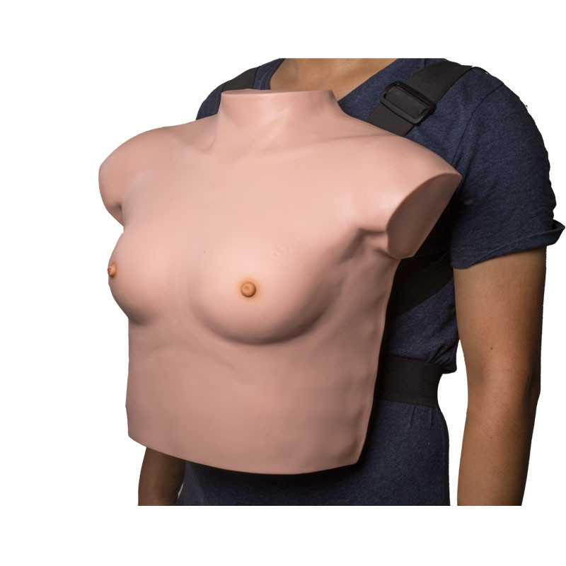 Modèle portable d'examen de sein avec sentiment réaliste de contact