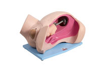 Système d'accouchement de simulation manuelle d'accouchement/simulation automatiques de secours