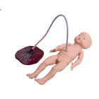Simulateur de naissance de bébé de formation de PVC de GV avec le cordon ombilical
