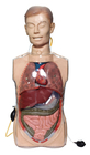 Simulateurs transparents de lavage gastrique avec des organes d'Anatony pour la formation clinique