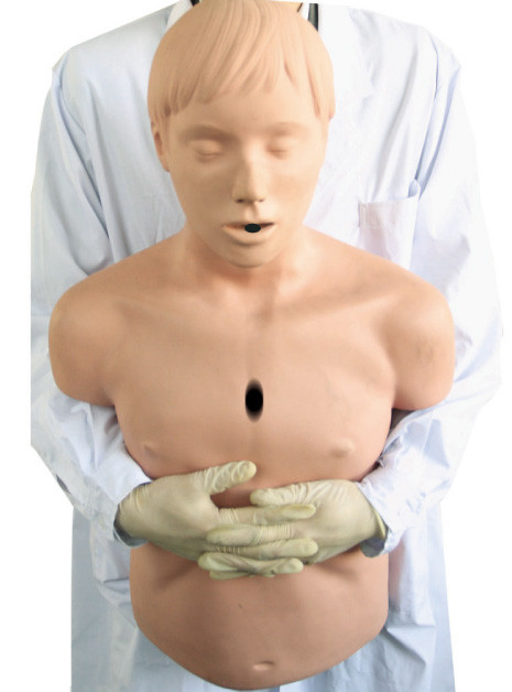 Demi - mannequin de ressuscitation du modèle de voie aérienne de corps/CPR pour des premiers secours d'adulte de Heidegger