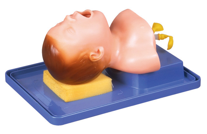 Nouveau-né réaliste avec l'anatomie principale pour la formation trachéale d'intubation