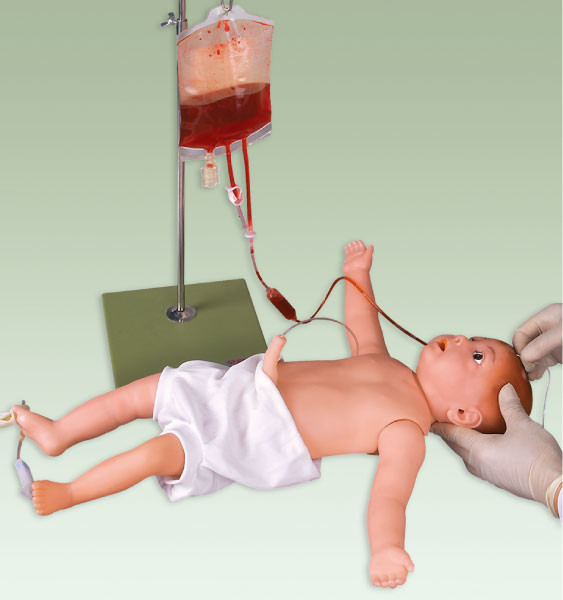 Modèle de simulation d'injection pédiatrique de mannequin/bébé avec les vaisseaux sanguins et la peau veineux