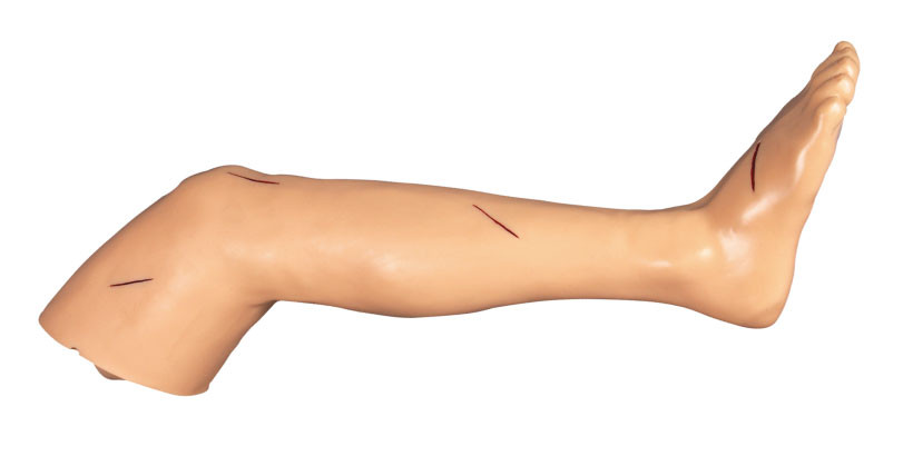 Suturez la coupe chirurgicale de formation de qualifications de jambe et la poupée suturante de formation