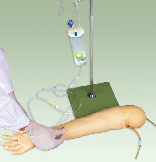Formation pédiatrique avancée de Veinpuncture de simulation de mannequin/bras de simulation
