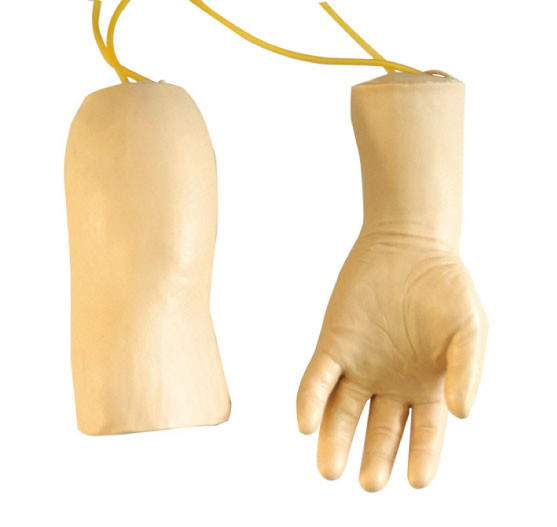 Le mannequin de la main GD/HS42 et des soins de coude arment le modèle pour la formation de canalisation de transfusion