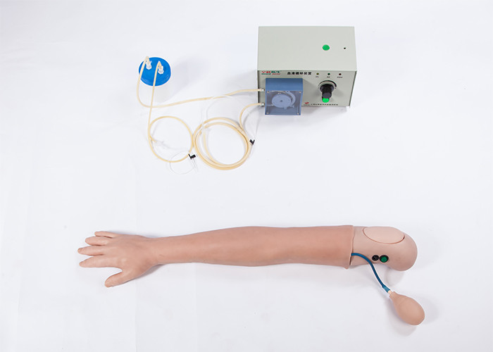Le PVC avancé a simulé le modèle de formation humain de bras de hémodialyse