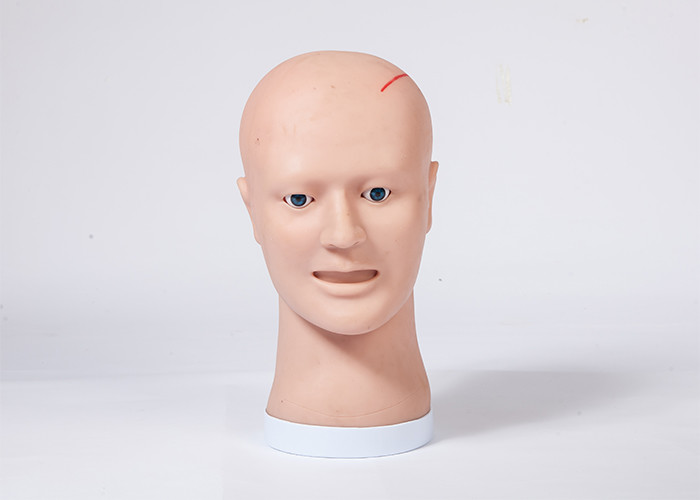 Formation de débridement et de suturer/simulation clinique de enseignement modèle de tête humaine