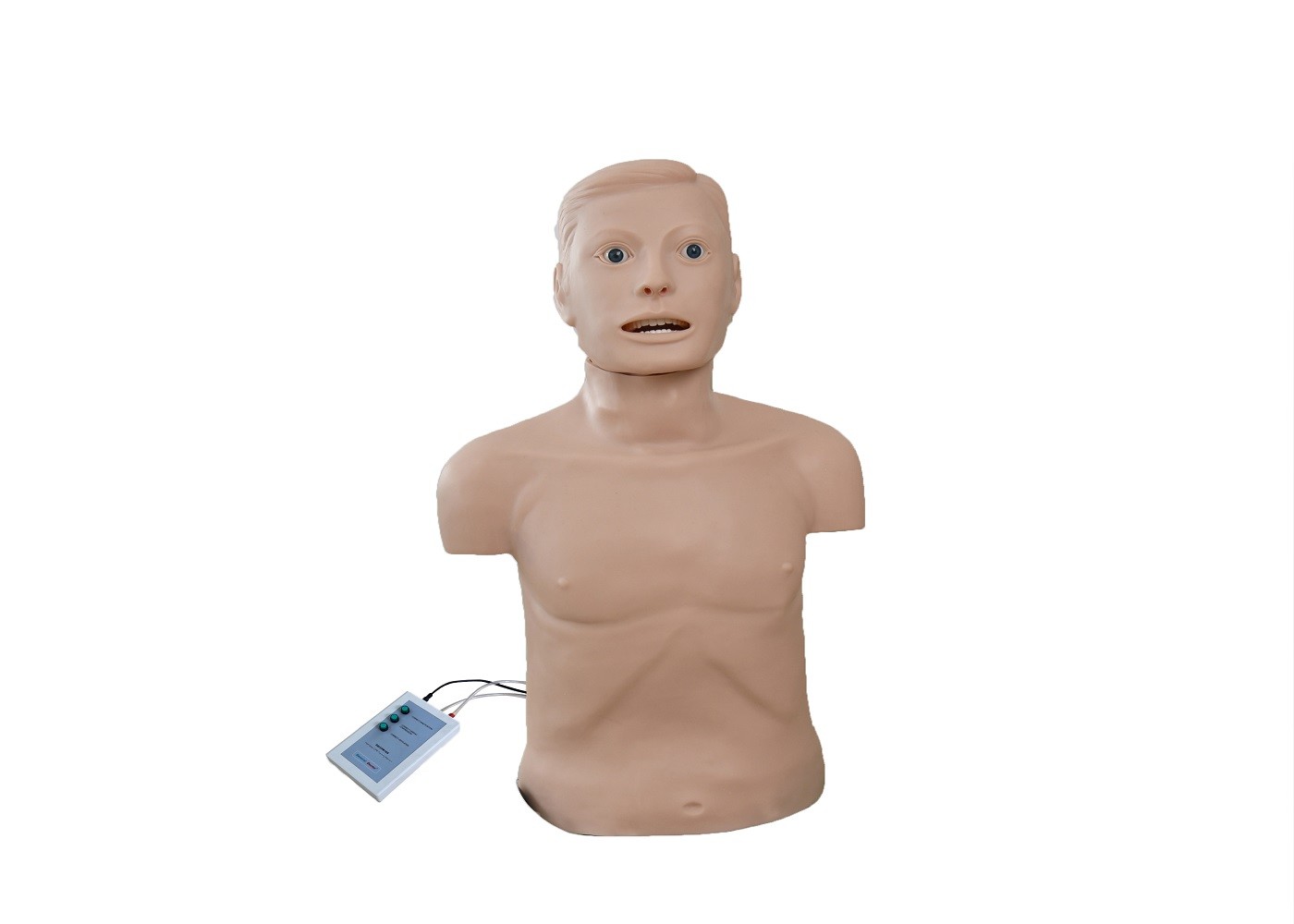 Demi mannequins adultes de premiers secours de CPR d'intubation de corps