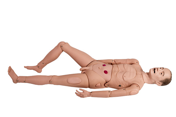 Mannequin gériatrique masculin de collage corps médical de laboratoire de plein