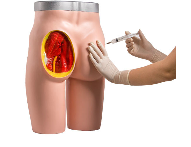Injection formant les fesses humaines médicales intramusculaires