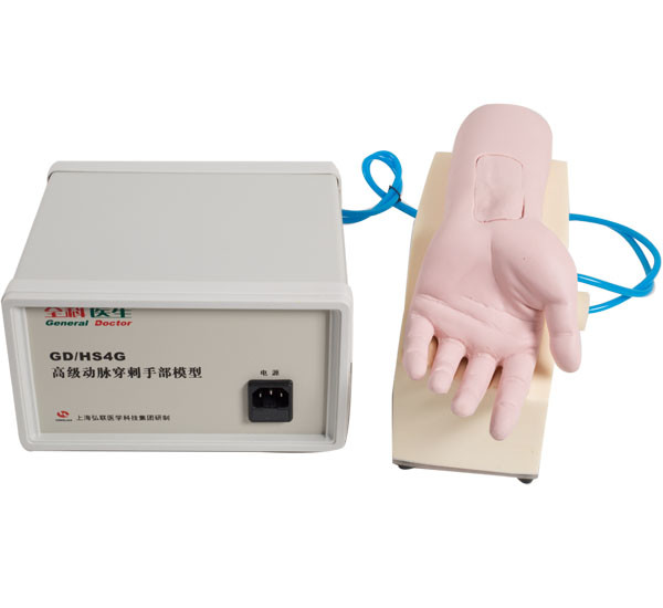 Mannequin de soins de main de piqûre d'artère de PVC pour l'étude médicale