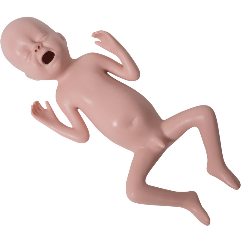 Mannequin pédiatrique de simulation de bébé prématuré avec la palpation