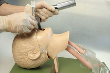 Structure anatomique réaliste avec la bouche des enfants, pharynx, Tracheafor pour la formation d'intubation