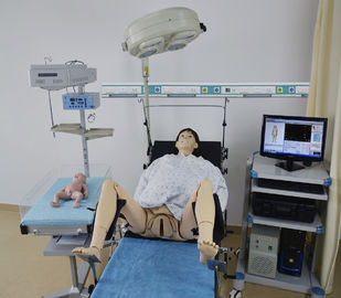 Le CE a approuvé le simulateur de naissance d'enfant de PVC pour l'urgence, AED, soignant la formation