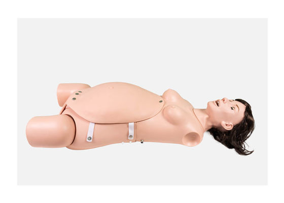 Mannequin de formation de chirurgie de PVC Ostetrics d'OIN avec la position de Lithotomy