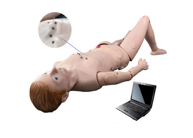 Le mannequin de simulation/auscultation d'hôpital avec ECG a simulé le système d'enseignement