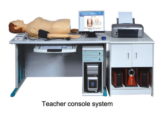 Réseau Numérique intelligent élevé avec la femelle abdominale de mannequin d'auscultation